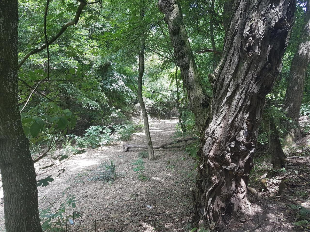 Old Stone Villa Obarok Dış mekan fotoğraf